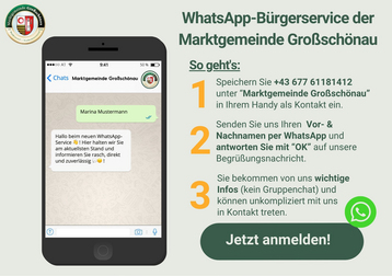 Erklärgrafik WhatsApp Service